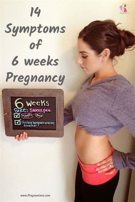 6 weeks pregnant