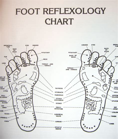 Acupuncture Points For Gut Health