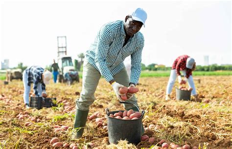 Agricultural Jobs