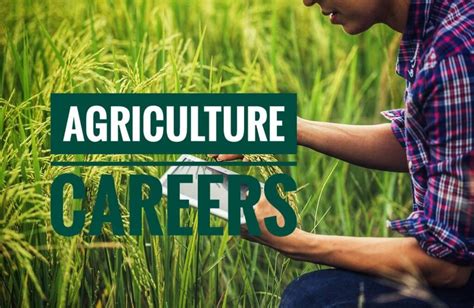Agriculture Jobs in Maui