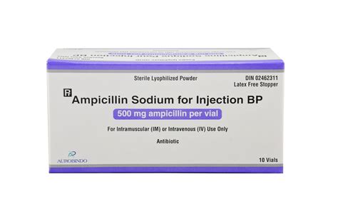 Ampicillin 500mg conclusion