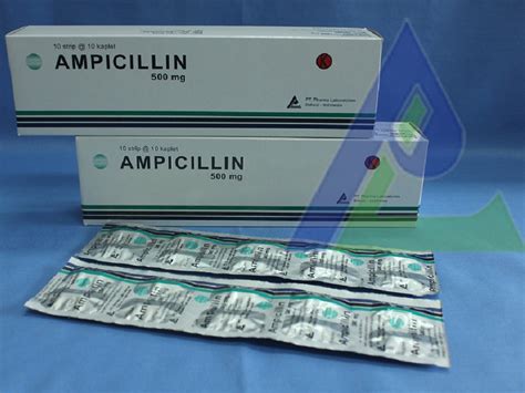 Ampicillin 500mg uses