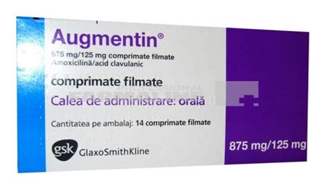 Augmentin 875 125 Interactions