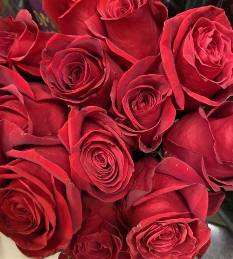 The Bachelors Final Rose