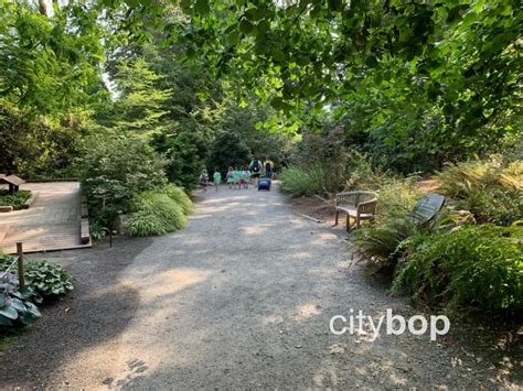 Bellevue Botanical Garden