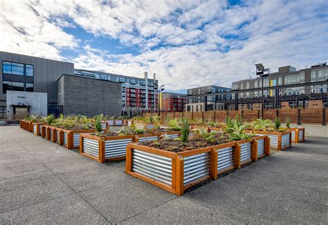 Bellevue Community Events