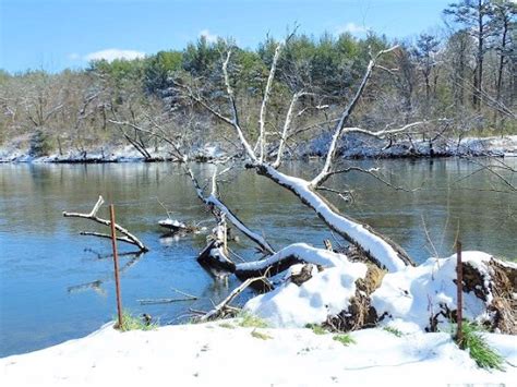 Bent Creek River Park Wildlife Viewing