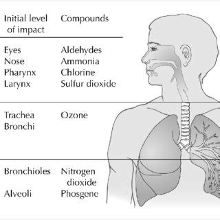 Benzonatate for Environmental Irritants