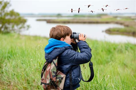 Bird-Watching on South Peachtree Creek Trail