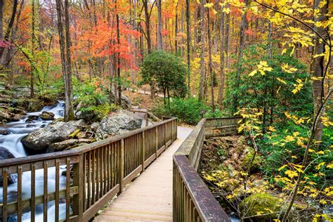 Chattahoochee National Forest