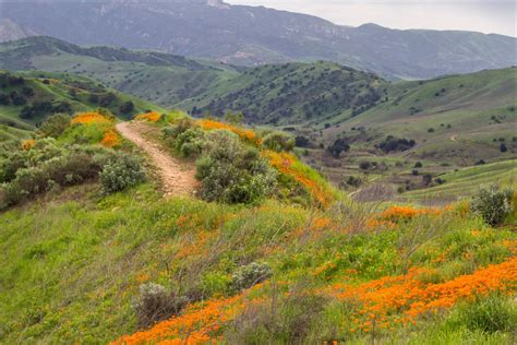 Chino Hills State Park