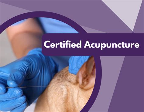 Consult With A Licensed Acupuncturist