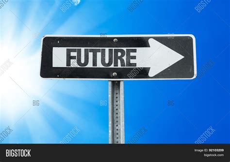 Court future directions