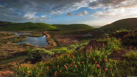 Coyote Hills Regional Park