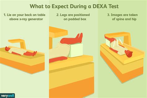 DEXA Scan Process
