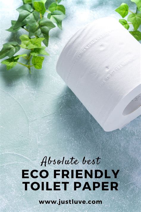 Eco-Friendly Toilet Paper Options