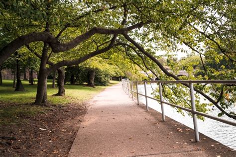 Everett Parks