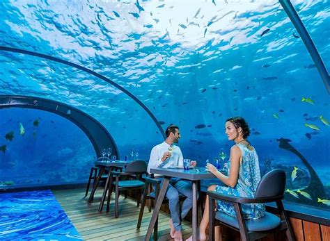 Exclusive Experiences