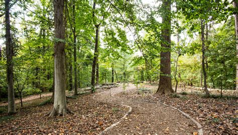 Fernbank Forest