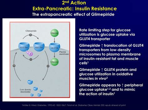 Glimepiride Enhances Insulin Sensitivity