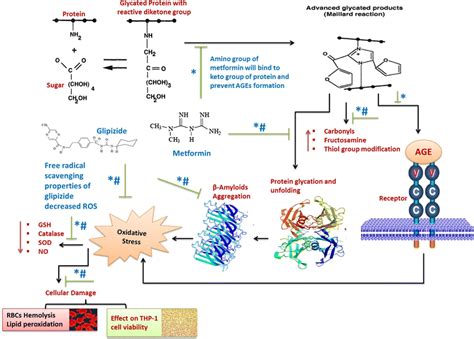 Glipizide Works