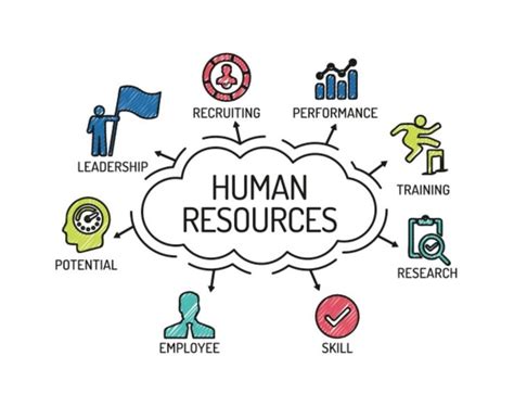 Human Resources Manager