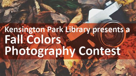 Kensington Park Library Community Event