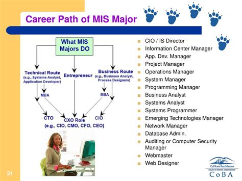 MIS Career Path