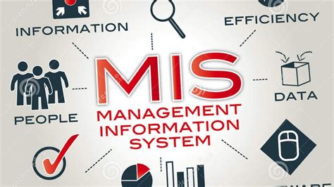 MIS Education and Training
