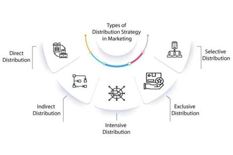 Marketing and Distribution Executive