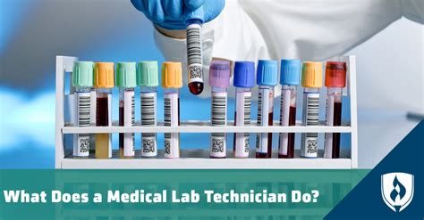 Medical Laboratory Technologist Education Requirements