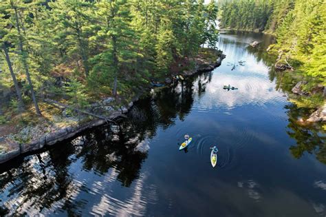 Immerse Yourself in Nature