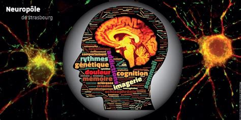 Neurosciences Services