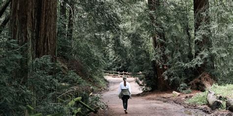 Oakland Outdoor Activities