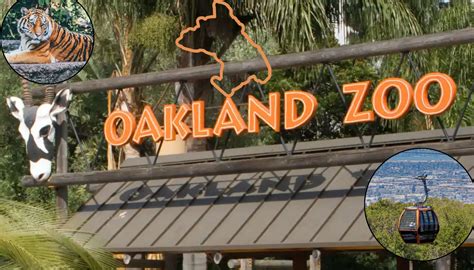 Oakland Zoo