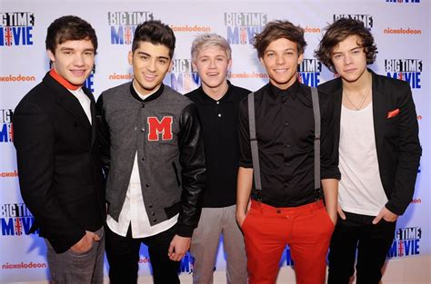 One Direction Members Future