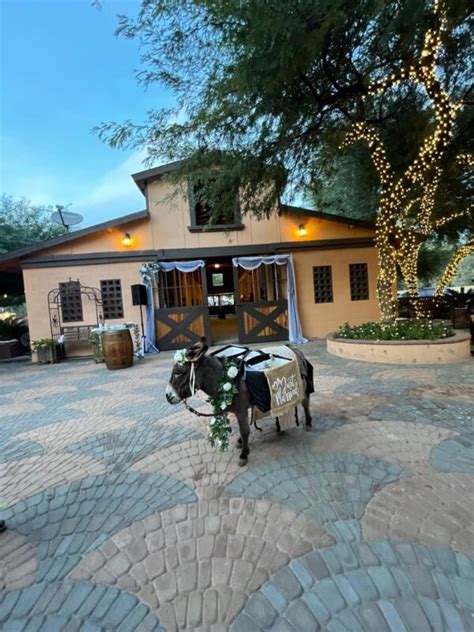 Rancho Viejo Local Events