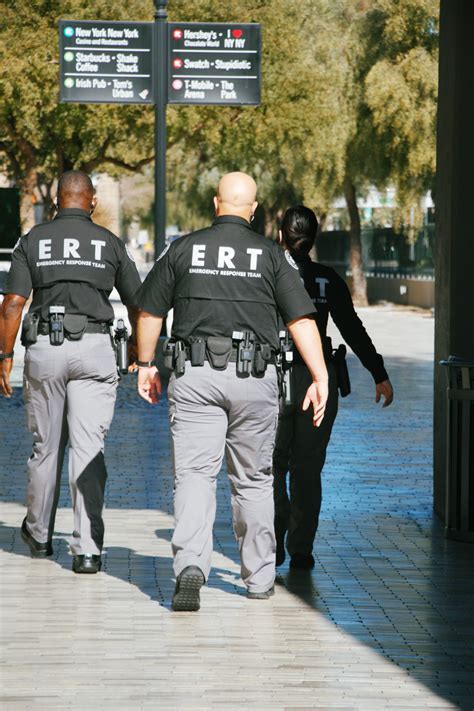 Requirements For Government Jobs In Las Vegas