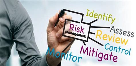 Risk Management Consultant