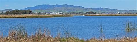 San Pablo Bay National Estuarine Research Reserve