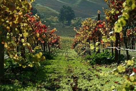 Santa Rosa California Jobs