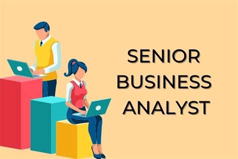 Senior Business Analyst