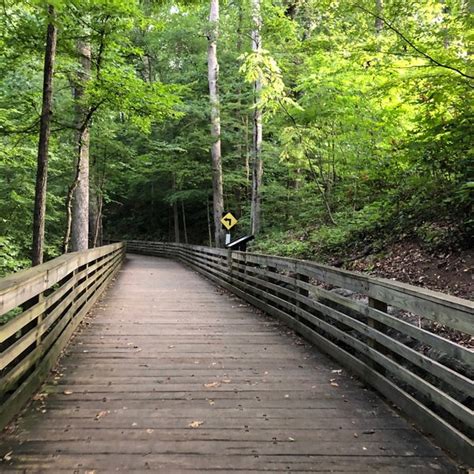 Hiking on South Peachtree Creek Trail