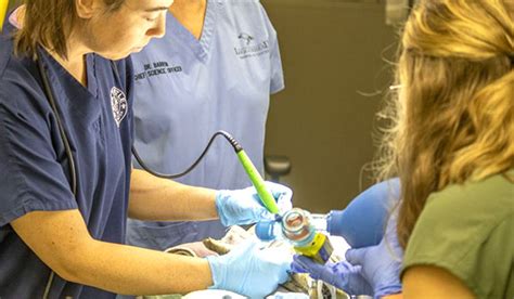 Specialized Treatment