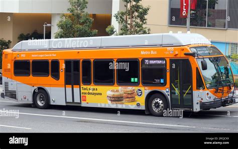 Temecula to Los Angeles Bus Options