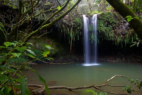 Twin Falls Trail Maui
