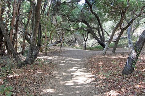 Walnut Creek Community Regional Park Nature Center