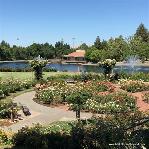 Walnut Creek Overview