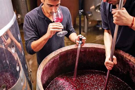 Winery and Vineyard Jobs