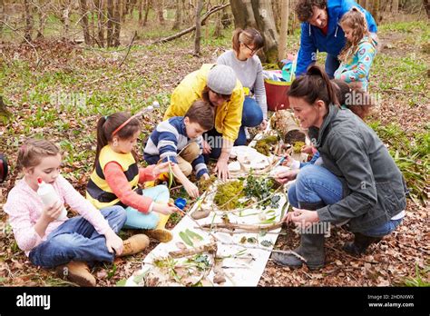 Woodland Education